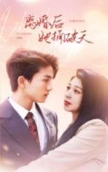 離婚后她捅破天第39集