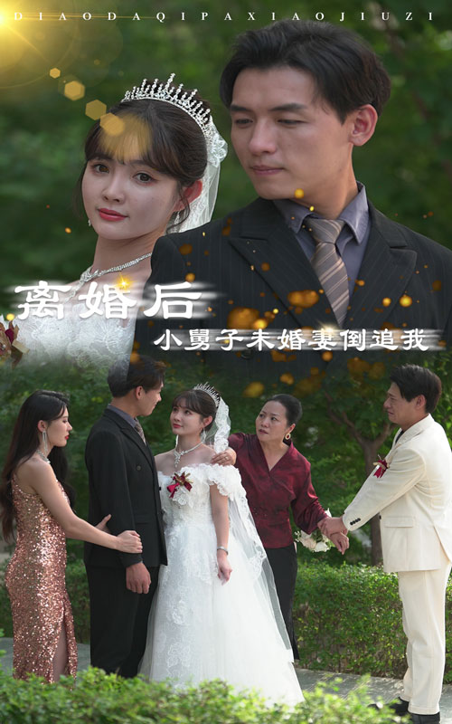 離婚后，小舅子未婚妻倒追我(全集)