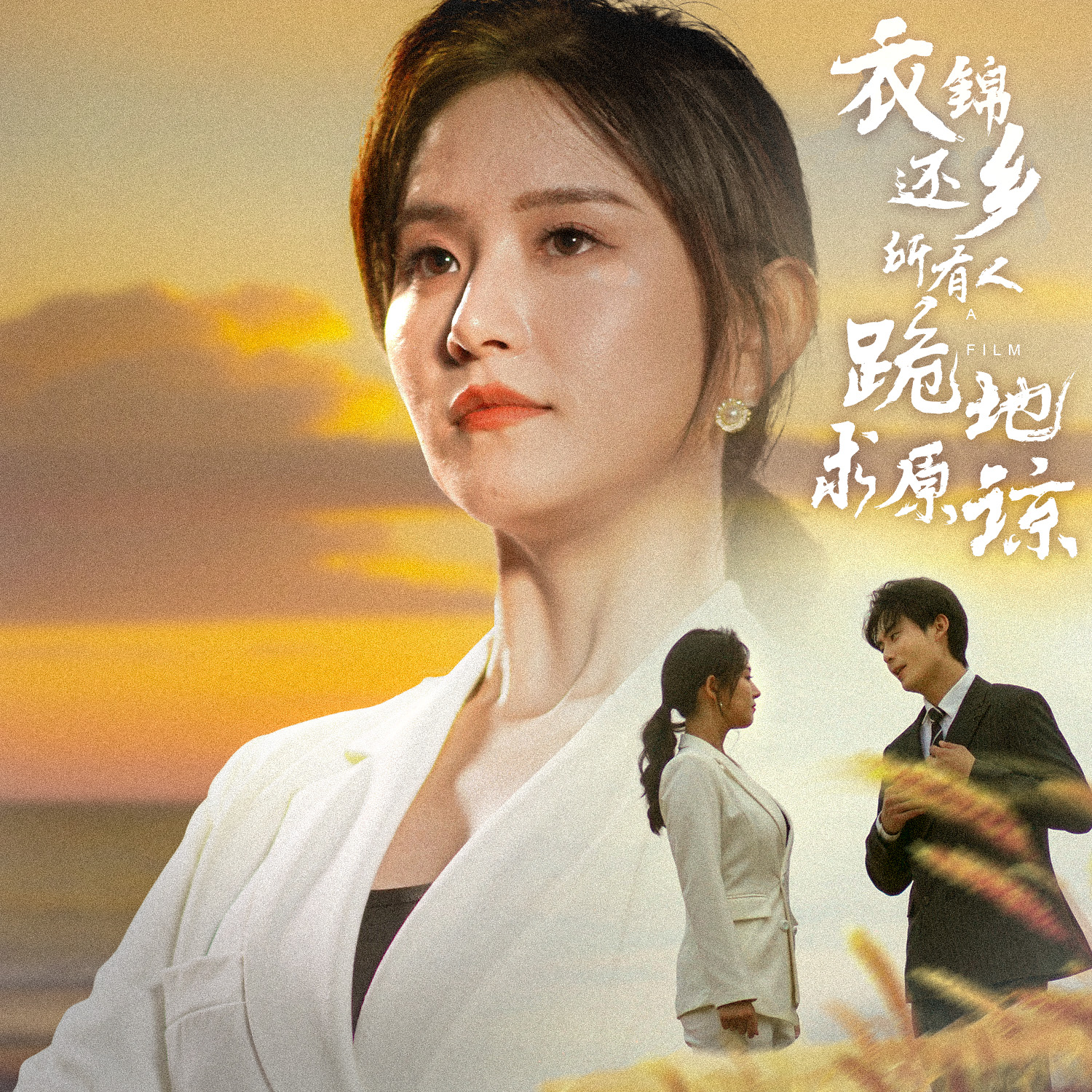 衣錦還鄉(xiāng)，所有人跪地求原諒(全集)