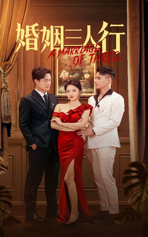 婚姻三人行第12集
