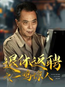 退休返聘之一鳴驚人第27集