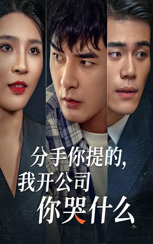 分手你提的，我開公司你哭什么(全集)