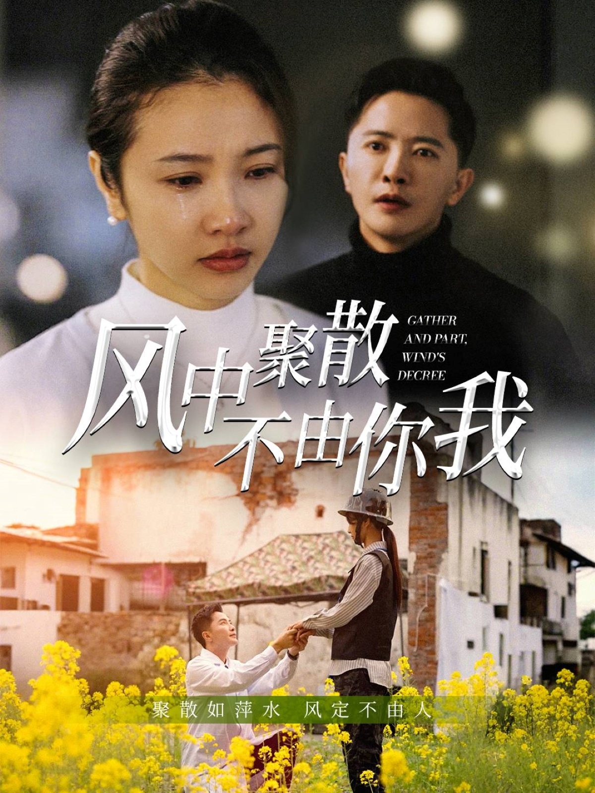 風(fēng)中聚散不由你我(全集)