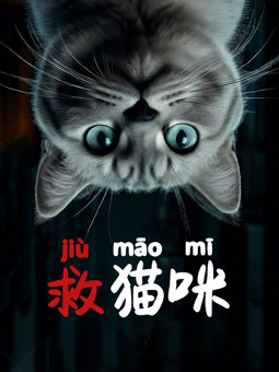 救貓咪