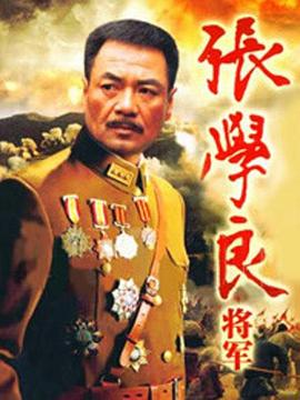 張學(xué)良將軍第03集