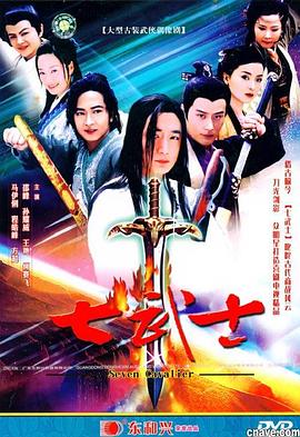 七武士2004第29集