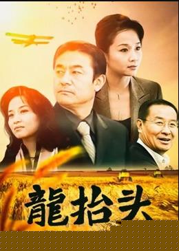 龍?zhí)ь^2007第15集