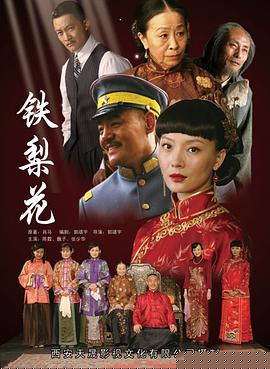 鐵梨花第41集