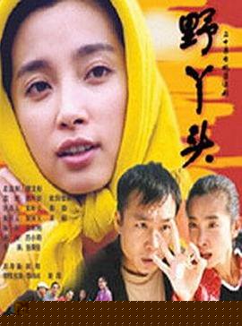 野丫頭第12集