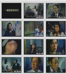 一縷柔情欲?；? class=
