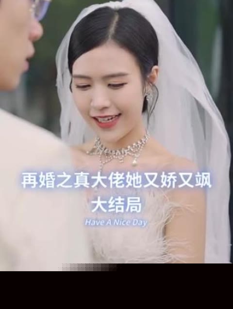 再婚之真大佬她又嬌又颯1-20集