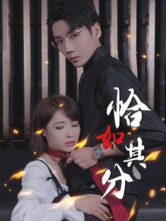 恰如其分1-20集