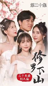 修羅下山三個(gè)老婆別太猛全集(大結(jié)局)