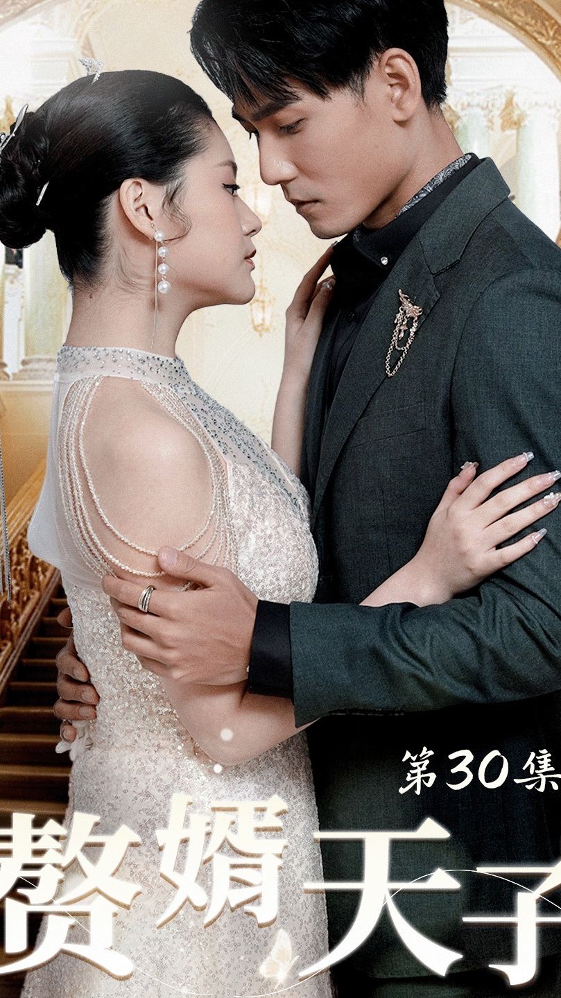 贅婿天子全集