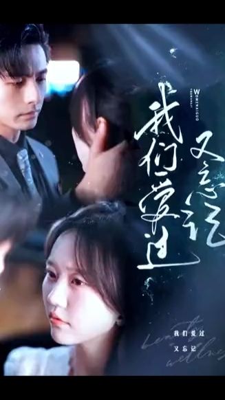 我們愛(ài)過(guò)又忘記全集