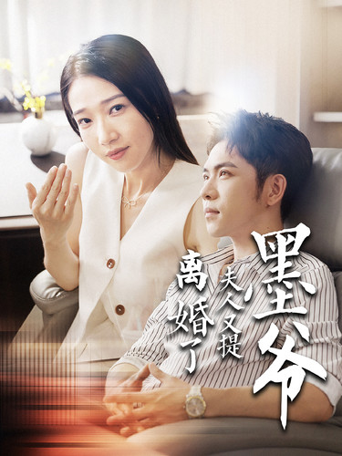 墨爺夫人又提離婚了第19集